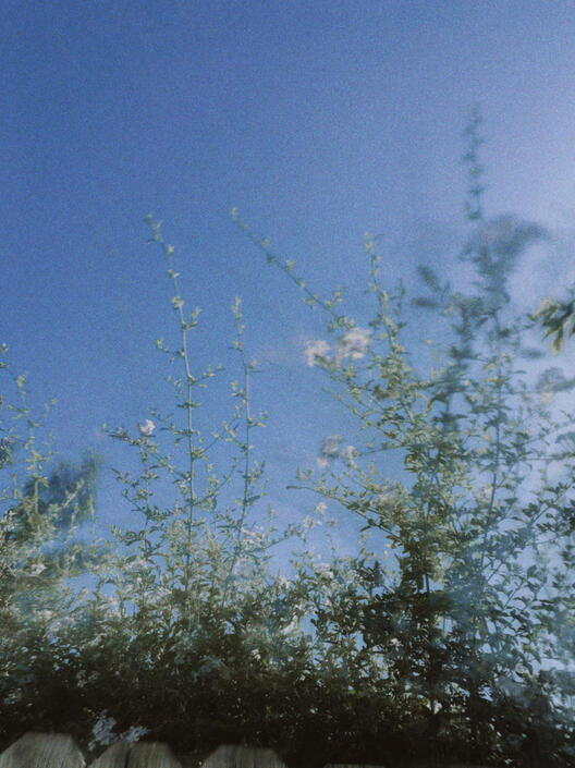 Untitled Untitled