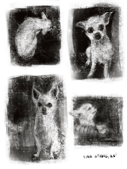 Untitled Untitled